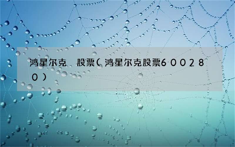 鸿星尔克 股票(鸿星尔克股票600280)